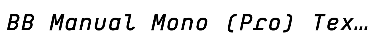 BB Manual Mono (Pro) Text Medium Italic image